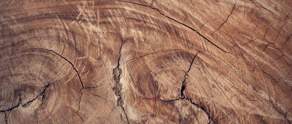 Detail van de jaarringen en structuur van hout